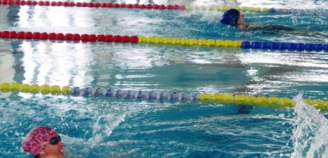 Csongrád Megyei Diák Úszóverseny