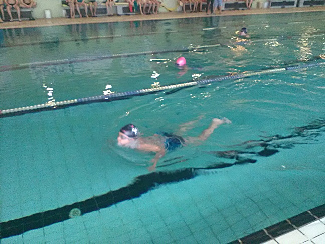Pest Megyei úszóverseny